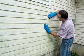 Best Vinyl Siding Installation  in Hoopeston, IL